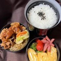 毎日弁当|らむぴさん