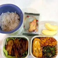 12月5日のお弁当🍱|momotoemiさん