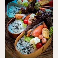 鮭弁当|まめさん