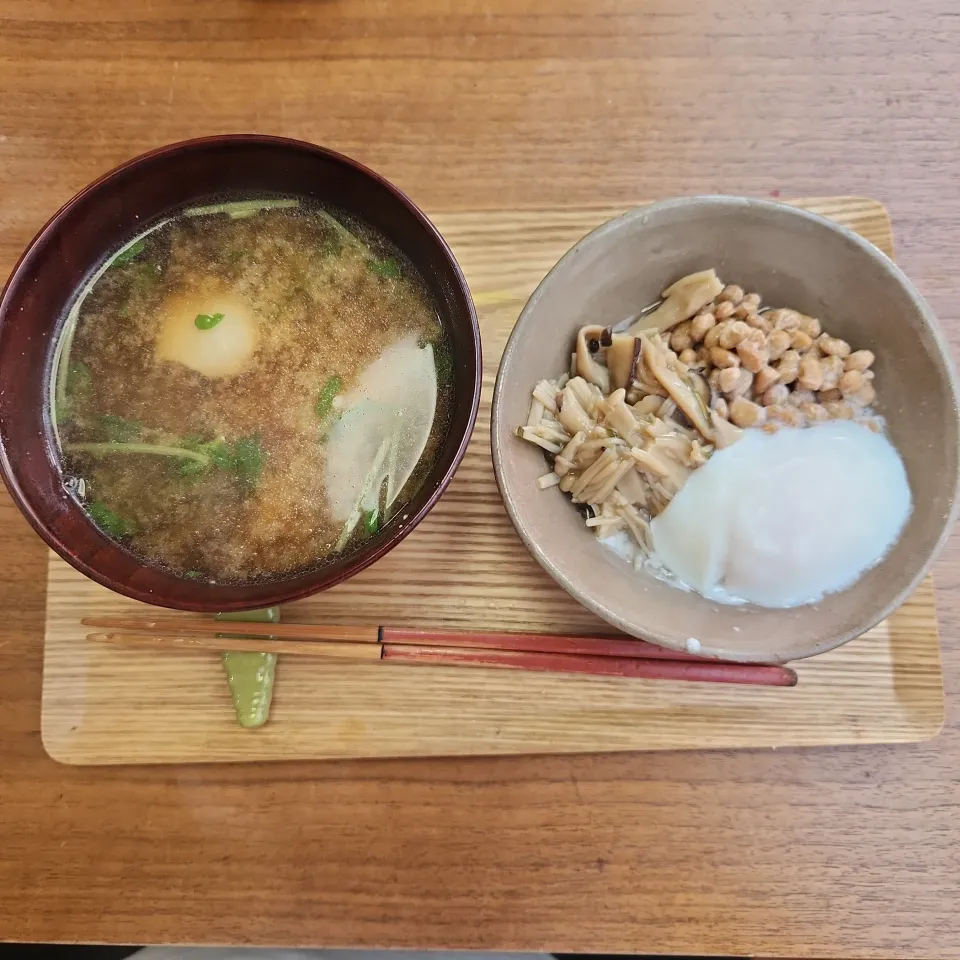 20251205|noccoさん