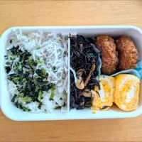 12/05 お弁当|はっさくさん