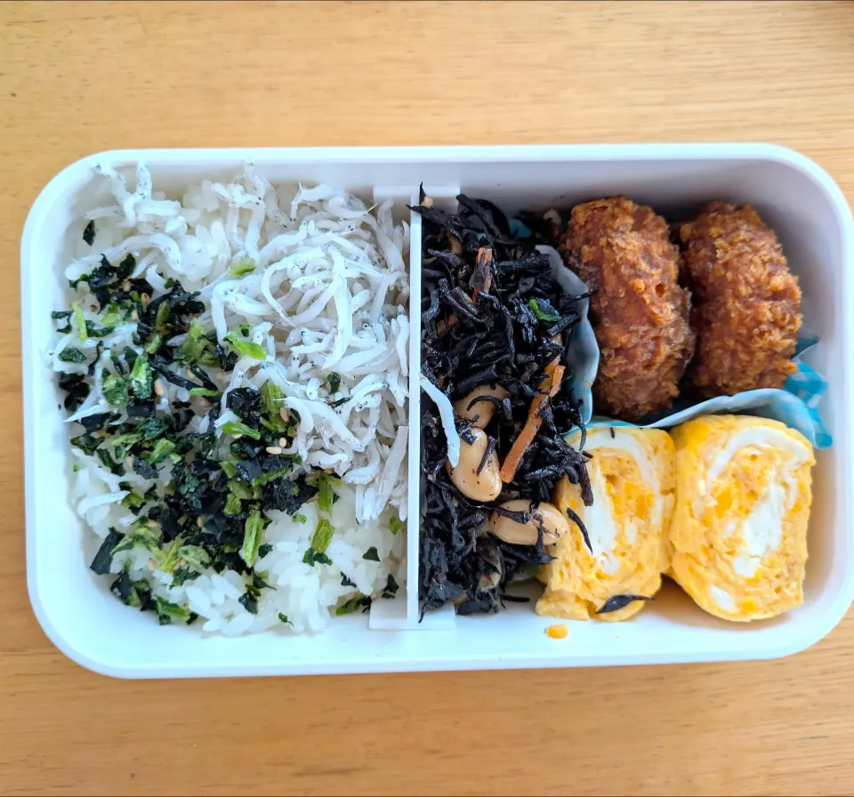 12/05 お弁当|はっさくさん