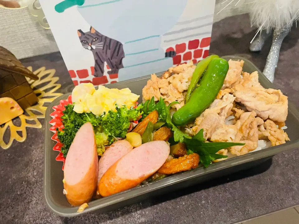 20251205🍱今日の旦那さん弁当🍱|akiyo22さん