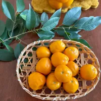 naho_nonaさんの料理 金柑の甘露煮とジャムレシピ| naho_nonaさん