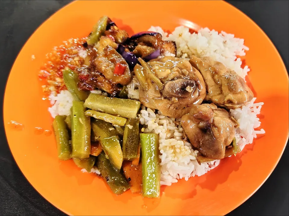 Favourite old school taste rice  sesame oil chicken, bitter gourd, spicy brinjal 😍😋|🍒lynnlicious🍒さん
