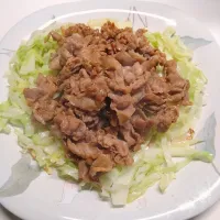 お肉とキャベツ|しまだ ちえこさん