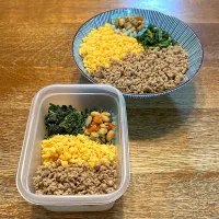 次男氏置き弁、高校生弁当|tenoaさん