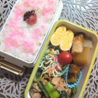 娘弁当🐷|まめころさん