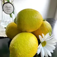 ＊レモン収穫🍋✨＊|＊抹茶＊さん