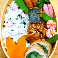 わかめごはん弁当🍱|にゃん(=^・^=)さん