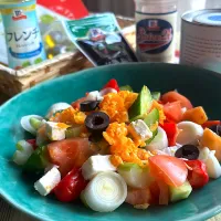 スペイン風夏のサラダ ~ちょっぴり日本風| とんちんさん