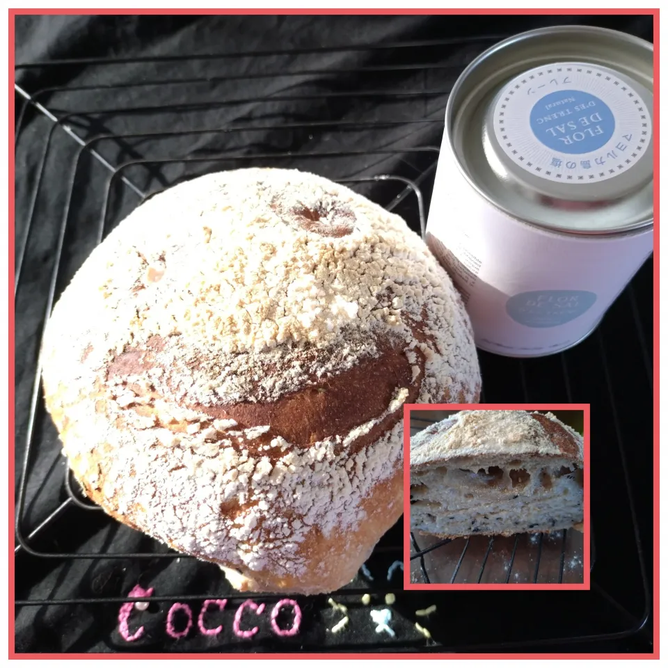 パン・デ・カンペシーノ✨|cocco+さん