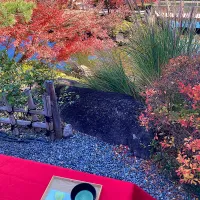 呈茶会@徳川園・瑞龍亭　和菓子は「芳光」さんの「初雪」、お茶は「長崎」の抹茶|なびさん