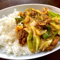 辛さ控えめ回鍋肉飯|単身赴任のっちさん