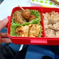 11月25日|maimaipapaさん