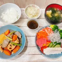 肉なし筑前煮|chou  chouさん