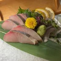 縞鯵|270w178bさん