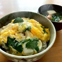 ＊鉄分とカルシウム強化✨高野豆腐入り親子丼ランチ＊|＊抹茶＊さん
