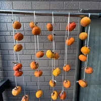 吊るし柿|たまちゃんさん