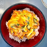 お惣菜のかき揚げ丼|あきたまさん
