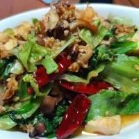 しめじと厚揚げレタスの炒め物| 玉藻天狐丸さん