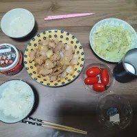 生姜焼き|るかぱぱさん