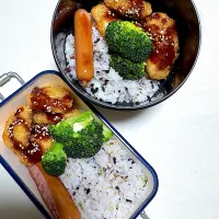 夜な夜な、父が作る長男長女弁当|父が作る弁当さん