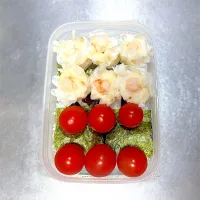 12/8  自分弁当|なかちゃんたまごさん