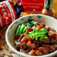 🇹🇼魯肉麺～ver.おうどん～🇹🇼| にゃんぺこさん