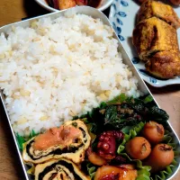 タコの夕レ焼き弁当|さおりさん