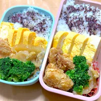 12月もファイト　べんとー|まつさん