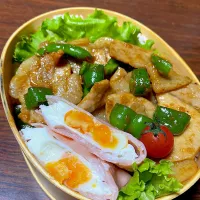 |Saori Nishidaさん