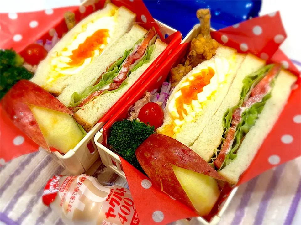 今日の夫婦弁⁽⁽ ◟(灬 ˊωˋ 灬)◞ ⁾⁾💕|桃実さん