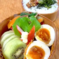 家族お弁当🍱ლ(´ڡ`ლ)❤️|ふみぃさん