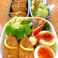 家族お弁当🍱ლ(´ڡ`ლ)❤️|ふみぃさん