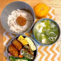 今日の旦那さんお弁当🍱|さくたえさん