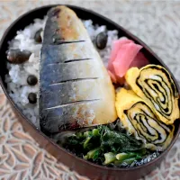 娘弁当|dra-kichiさん