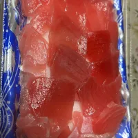 マグロ🍣|Morito Kamiyaさん