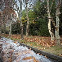 |Kaori Shimizuさん