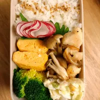 |音彩お弁当さん