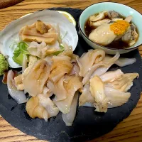 活ミル貝刺し|さくたろうさん