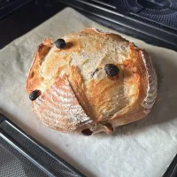 レーズンのカンパーニュ