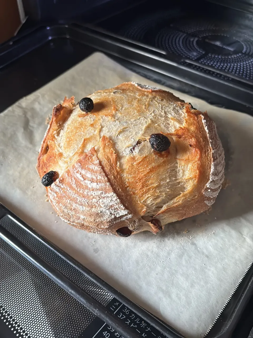 レーズンのカンパーニュ|みゆぞうさん