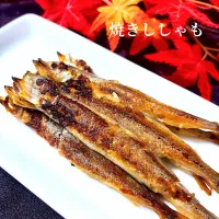 焼きししゃも| オーロラさん