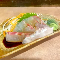 刺身|T. Wonderさん