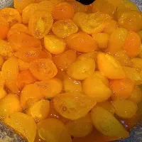 今日のお仕事（R7.12.7）|え〜かさん