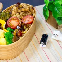 今日のお弁当 25/12/09|しげさん