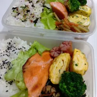 ひじき煮鮭弁当|yayoi.Kさん