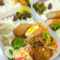 今日も盛ってます弁当20251209|小料理あやさん