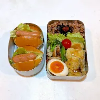 今日のオット弁当と、高３ムスメ弁当。|chi.aさん